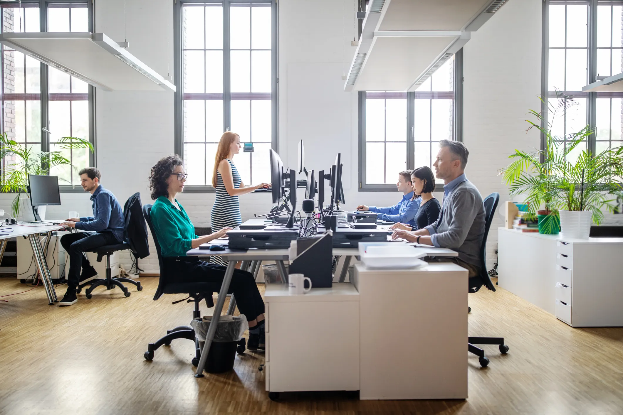 Office 7